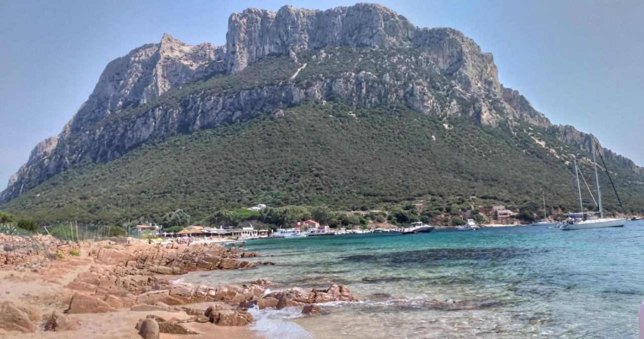 Glicine Διαμέρισμα Vaccileddi Εξωτερικό φωτογραφία